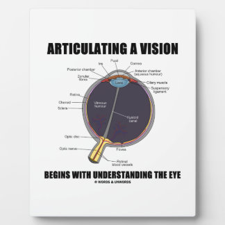 Eine Vision zu artikulieren beginnt das Auge zu ve Fotoplatte