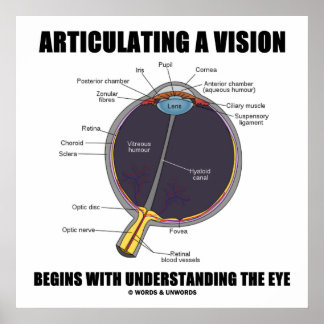 Eine Vision zu artikulieren beginnt das Auge zu ve Poster