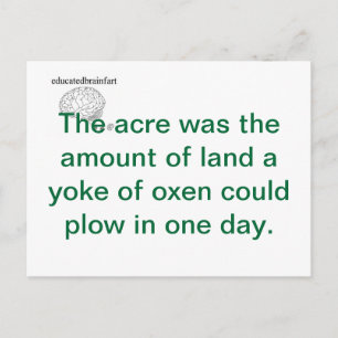 Eine Wahrheit Postkarte