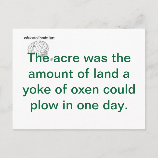 Eine Wahrheit Postkarte (Vorderseite)