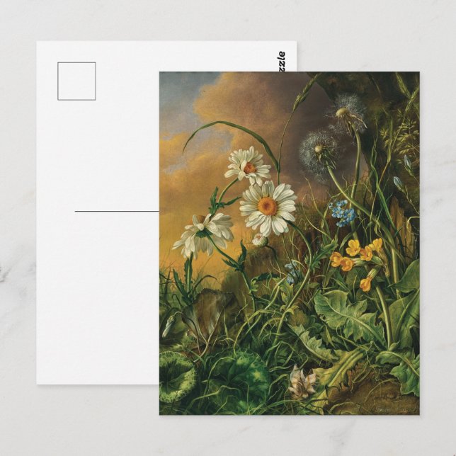 Eine Waldfläche mit Daisies, Primrosen, ... Postkarte (Vorne/Hinten)