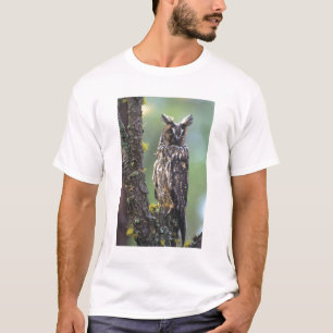 Eine Waldohreule auf einem Ast sitzend T-Shirt