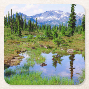 Eine Wanderung im Hinterland der Insel Vancouver Rechteckiger Pappuntersetzer