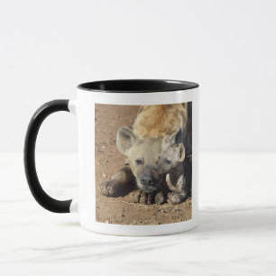 Eine weibliche gepunktete Hyäne und ihr Junges, Tasse