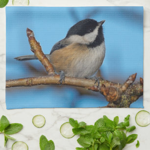 Eine Weidenmeise an dem Birnbaum Handtuch