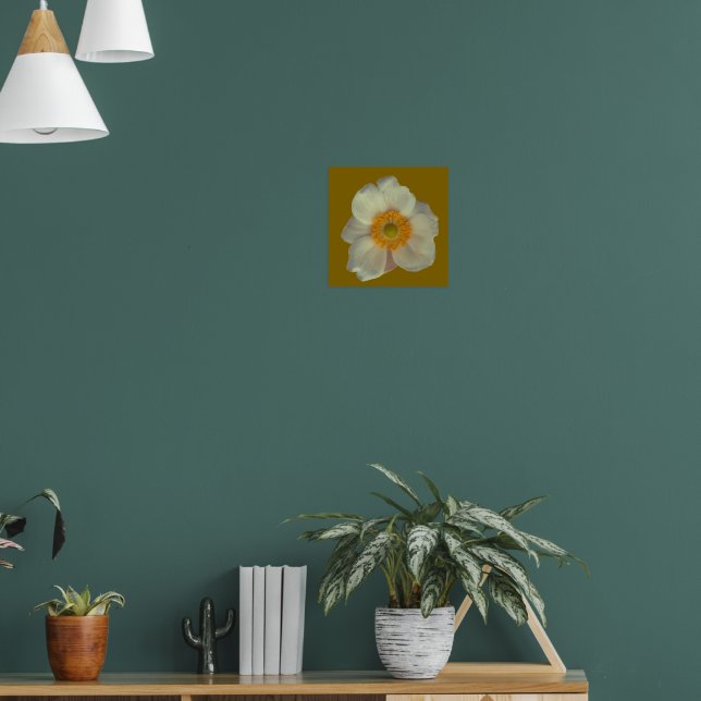 Eine weiße Blume Poster (Wohnzimmer 1)