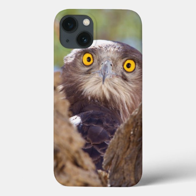 Eine Weiße-breasted Schlange Eagle Case-Mate iPhone Hülle (Rückseite)