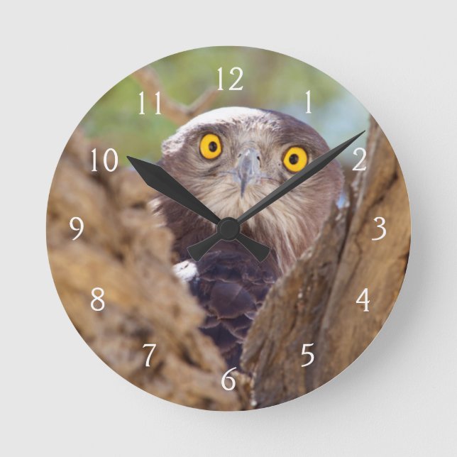 Eine Weiße-breasted Schlange Eagle Runde Wanduhr (Vorderseite)