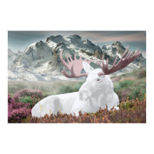 Eine weiße Elche im Montain