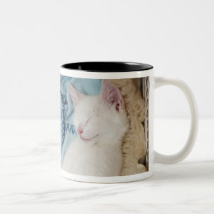 Eine weiße Katze, die in einem Wäschekorb schlä Zweifarbige Tasse