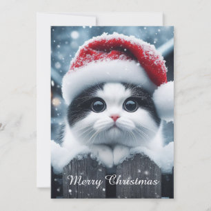 Eine weiße Katze mit Santa-Mütze  Feiertagskarte