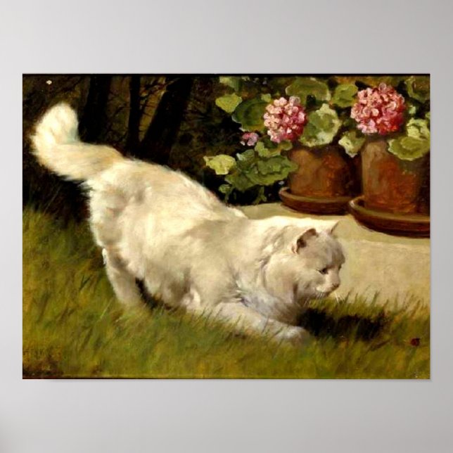 Eine weiße persische Katze, die einen Ladybug guck Poster (Vorne)