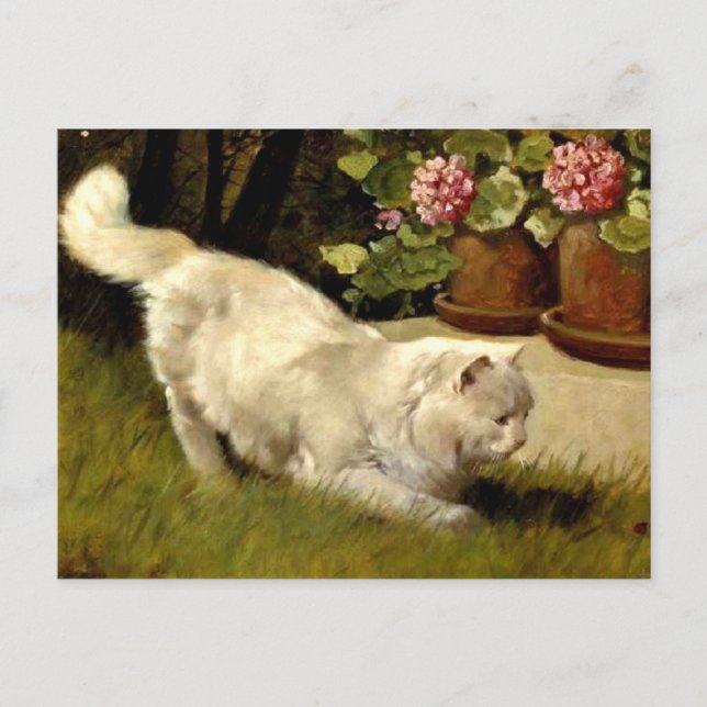 Eine weiße persische Katze, die einen Ladybug guck Postkarte (Vorderseite)