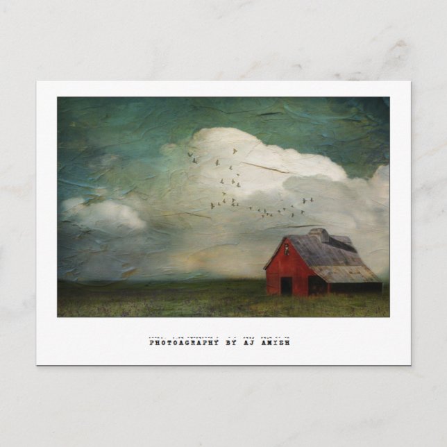 eine weitere Schlacht, die nie gewonnen wurde Postkarte (Vorderseite)