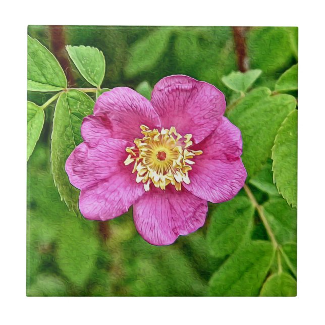 Eine wilde Rose Fliese (Vorderseite)