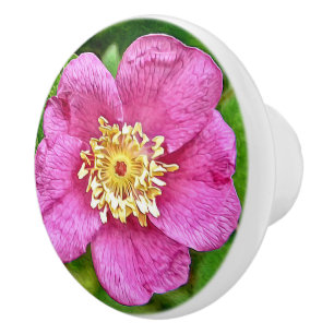 Eine wilde Rose Keramikknauf