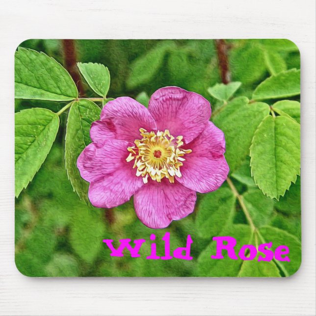 Eine wilde Rose Mousepad (Vorne)