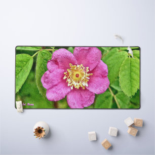 Eine wilde Rose Schreibtischunterlage