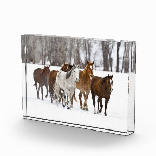 Eine Winterlandschaft mit galoppierenden Pferden Fotoblock
