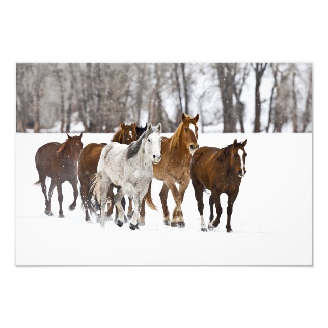 Eine Winterlandschaft mit Laufen Fotodruck (Vorne)