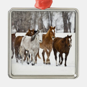 Eine Winterlandschaft mit Laufen Silbernes Ornament