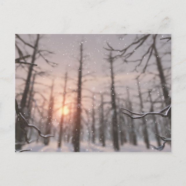Eine Winternachtskarte Postkarte (Vorderseite)