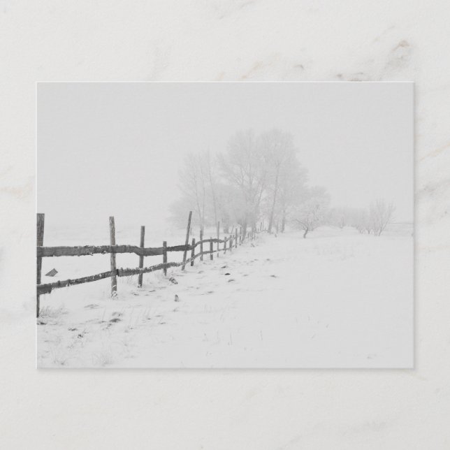 Eine Winterschneekulisse Postkarte (Vorderseite)