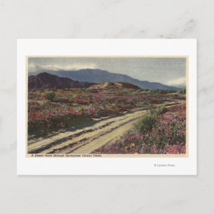 Eine Wüstenstraße durch die Springtime-Blume Postkarte