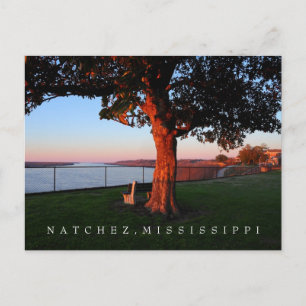 Eine Zeit des Gedenkens - Natchez, Mississippi Postkarte