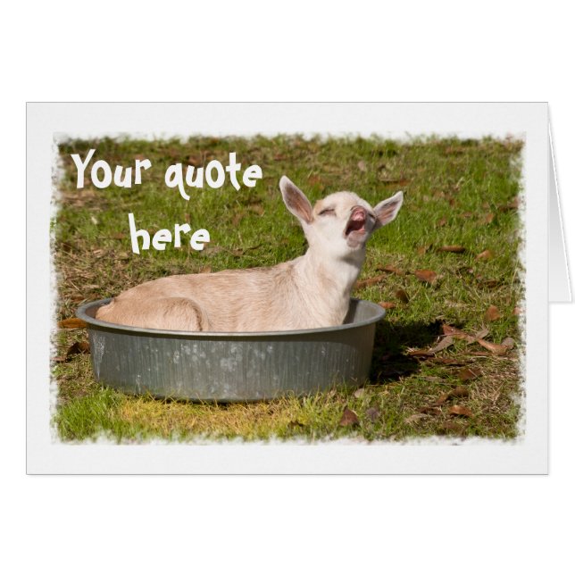 Eine Ziegenansicht (Vorderseite (Horizontal))