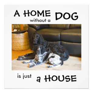 Eine Zuhause ohne Hund ist nur ein Haus - Wandkuns Fotodruck