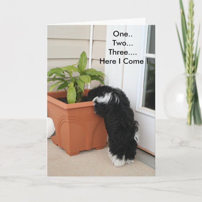 Eine zwei drei Karten (Vorderseite)