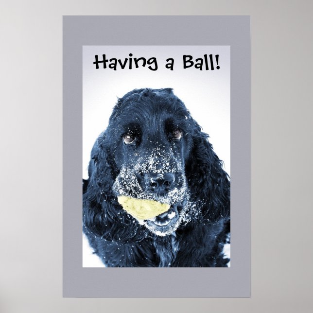 Einen Ball haben! Poster (Vorne)