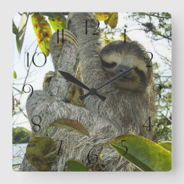 Einen Baum hinaufziehen Quadratische Wanduhr