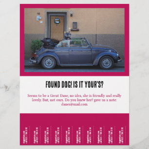 einen Freund gefunden Flyer