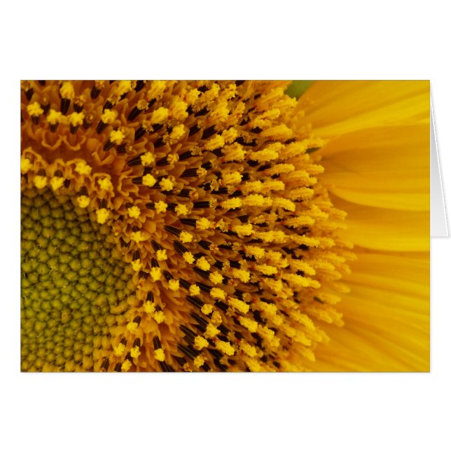 einen halben Kreis (Vorderseite (Horizontal))