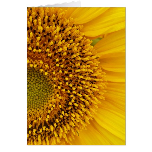 einen halben Kreis (Vorne)