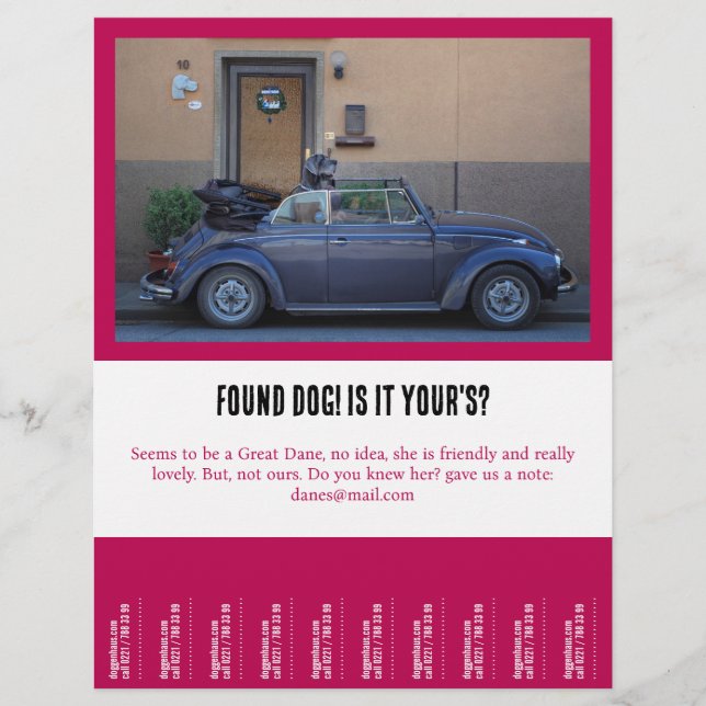einen pelzigen Freund gefunden Flyer (Vorne)