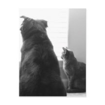 Einen ruhigen Moment teilen