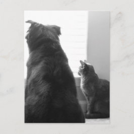 Einen ruhigen Moment teilen Postkarte