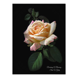 Einen Segen erhalten... Rose Art Print by Stan Fotodruck
