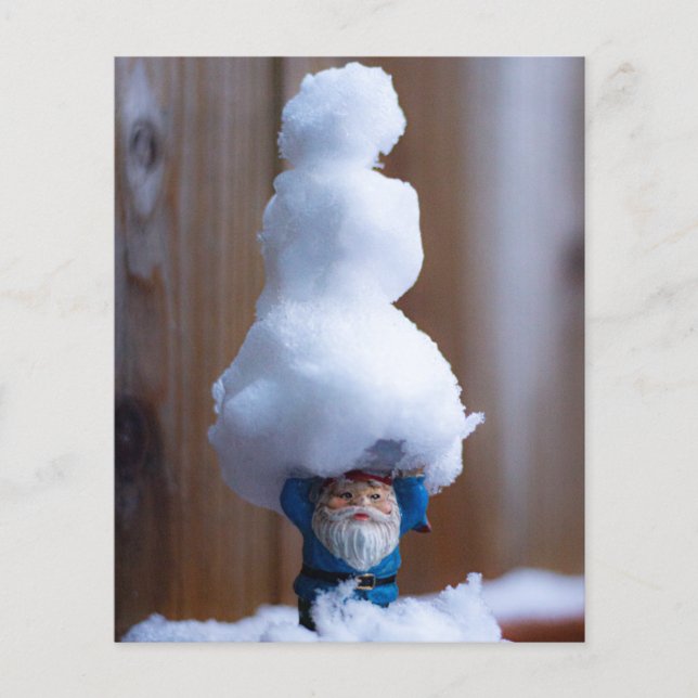 Einen Snowman V bauen (Vorderseite)