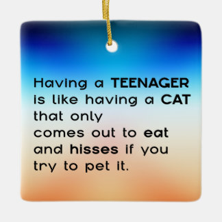 Einen Teenager haben... Keramikornament