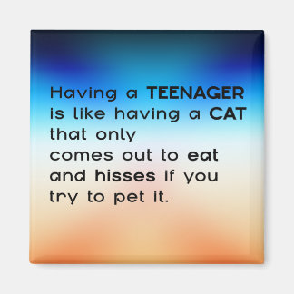 Einen Teenager haben... Magnet