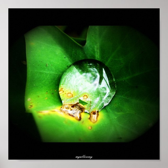 einen Tropfen Poster (Vorne)