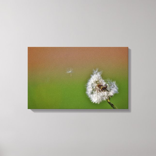 einen Wunsch zu erfüllen, Leinwanddruck (Vorderseite)