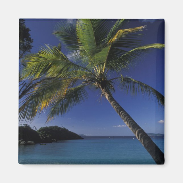 Einer der besten Strände der Welt: die Trunk Bay a Magnet (Vorne)