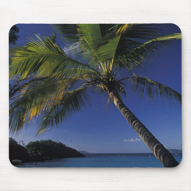 Einer der besten Strände der Welt; Trunk Bay Mousepad (Vorne)