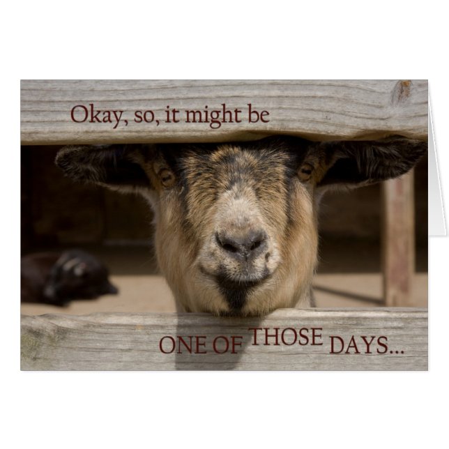 Eines dieser Tage (Vorderseite (Horizontal))