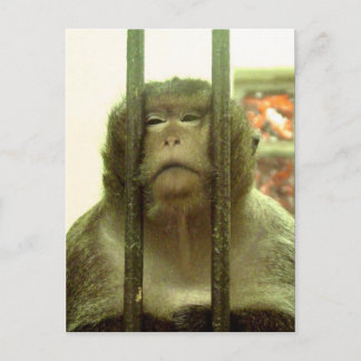 Eines dieser Tage.... Postkarte